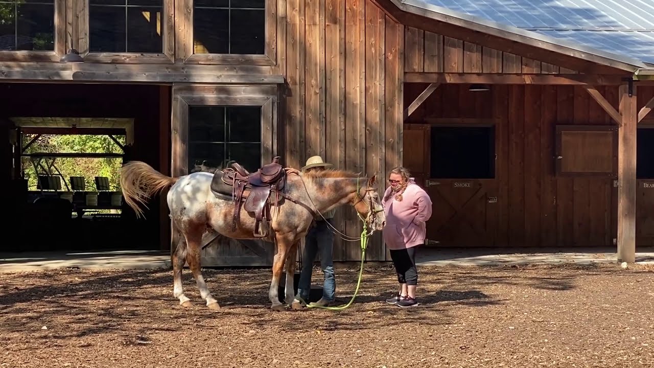 Horseback Riding At Dogwood Canyon, 2020