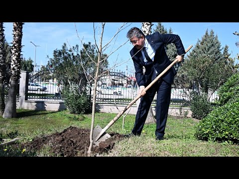 Osmaniye Valisi'nin dikili bir ağacı oldu!