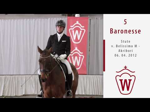 05 Baronesse Stute v. Belissimo M - Akribori