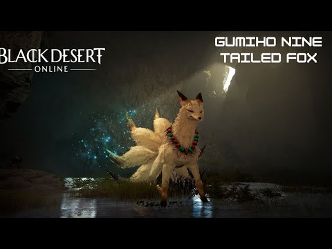 Let's Play - Black Desert Online - [Gumiho]Nine Tailed Fox