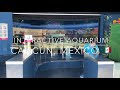 Interactive Aquarium La Isla Shopping Village Cancun