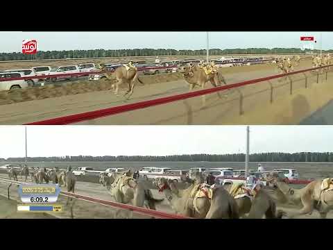 ش 4 بندقية (الياه) لـ راشد محمد بن علي العبار الفلاسي 8:53:22 ، ختامي المرموم 2026/03/25 إيذاع