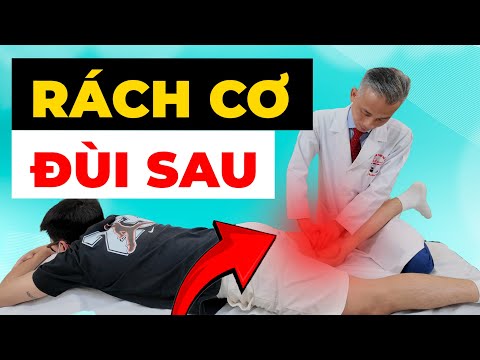 Đừng Băng Gối khi chưa hiểu điều này – 90% RÁCH CƠ ĐÙI SAU bắt đầu từ đây!