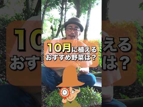 耐寒性ゾーン（生物気候地域）に応じて、6月に菜園に何を植えますか？  庭園