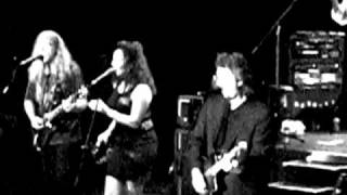 Falling In Love Again Michael Stanley and The Resonators