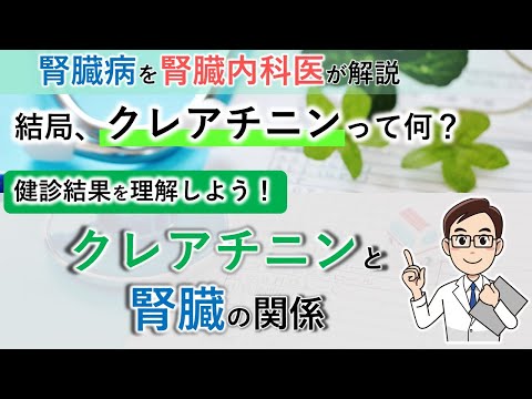 クレアチン: クレアチンとは何なのか、何のためにあるのか、そしてどのように使用するのか