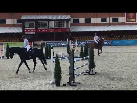 E-COFERTINA  (Lordanos - Baldini) 6y.o. SCMK Olsza /07.09.18