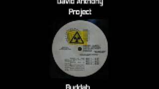 Darryl James / David Anthony Project - Buddah