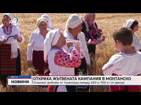 Откриха жътвената кампания в Монтанско: Очакват добиви от пшеница между 650 и 700 кг от декар 