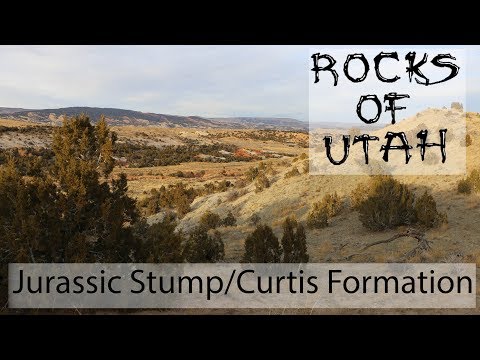 Jurassic Stump/Curtis Formation - The Rocks of Utah