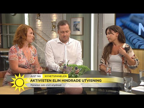 Nyhetspanelen: ”Det är dags att ta bort Dan Eliasson” - Nyhetsmorgon (TV4)