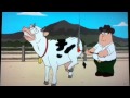Family Guy Horse