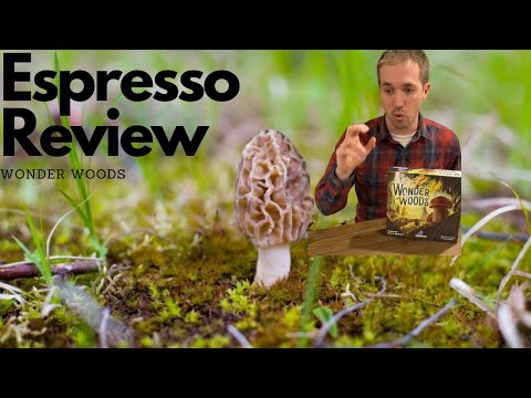 Espresso Review - Wonder Woods