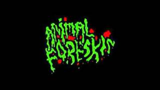 Animal Foreskin - I Prefer Panda Porn