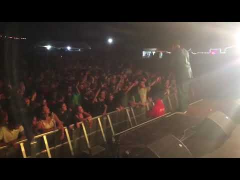 LT. STITCHIE LIVE IN FRANCE : PEN & PAPER