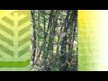 ERDB Video 1