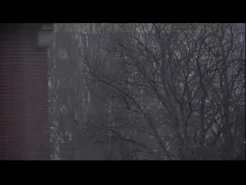 Roomburg Mc3 - Roomburg md1