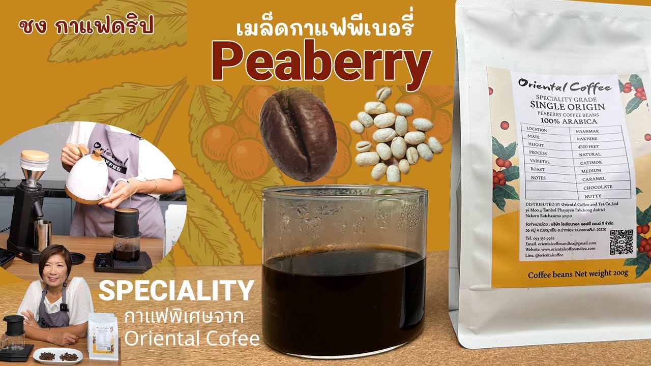 แนะนำ#กาแฟพม่า Peaberry อราบิก้า !00% single Origin /Natural Process กาแฟใหม่ ของ Oriental Coffee
