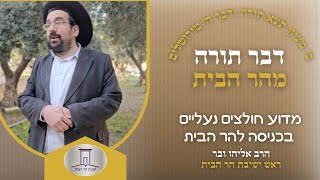 מדוע חולצים נעליים בכניסה להר הבית | הרב אליהו ובר (ישיבת הר הבית) - התמונה מוצגת ישירות מתוך אתר האינטרנט יוטיוב. זכויות היוצרים בתמונה שייכות ליוצרה. קישור קרדיט למקור התוכן נמצא בתוך דף הסרטון מדוע חולצים נעליים בכניסה להר הבית | הרב אליהו ובר (ישיבת הר הבית) - התמונה מוצגת ישירות מתוך אתר האינטרנט יוטיוב. זכויות היוצרים בתמונה שייכות ליוצרה. קישור קרדיט למקור התוכן נמצא בתוך דף הסרטון