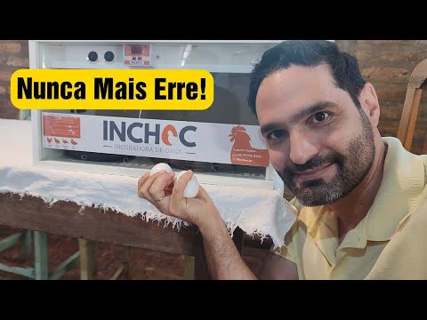 Egg Incubation Step by Step: Everything You Need to Know! Inchoc