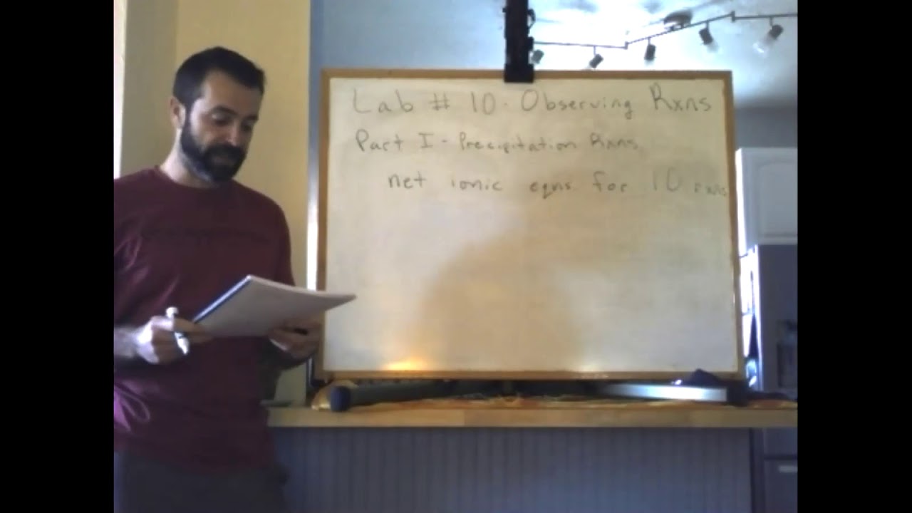 Lab#10 Observing Reactions