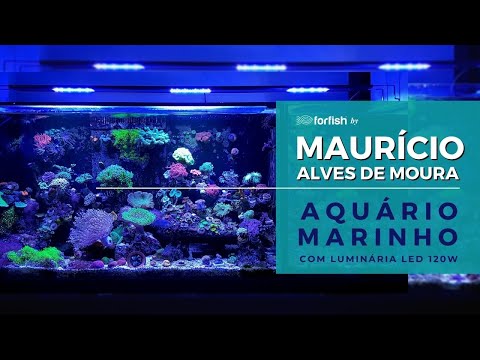 Aquário Marinho antes x depois  - 1 ano com Luminária LED ForFish 120w