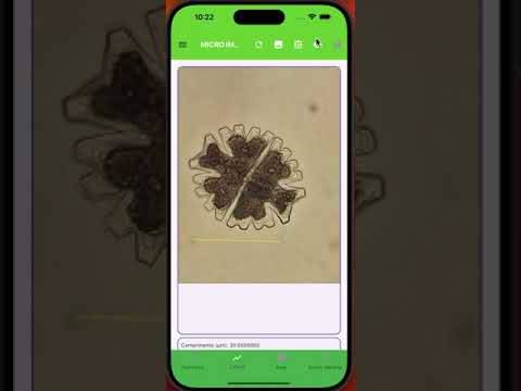 Micro Image