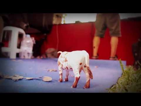 COPY004 - Manu Ferrantini - Lucky Soul Duck (Video Cut)