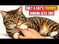 12 Rare Behaviors That Prove You Re Your Cat S Favorite Person On Earth