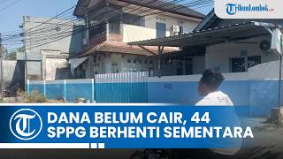 Dana Operasional BGN Belum Cair, 44 Dapur Makan Bergizi Gratis di Lombok Timur Berhenti Sementara