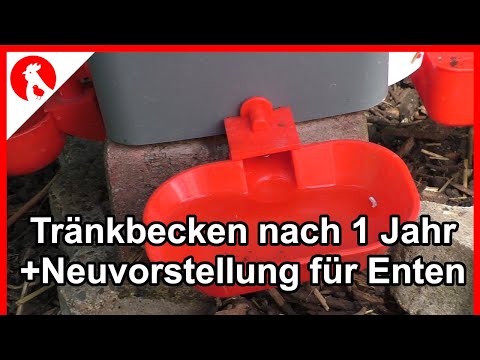 F180 DIY Hühnertränken Fazit + Neuvorstellung für Enten/Gänse -  Jensman and the Huhns