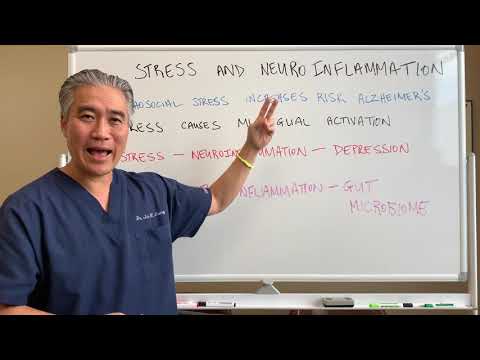 FACES of Neuroinflammation