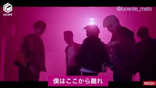 LUCENTE - 꽃잎FALLING PETALS (日本語字幕)