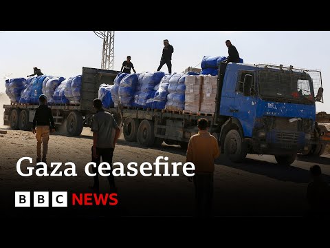 Video | Seven Palestinians killed by Israeli forces in Gaza, Palestinian Civil Defence says | BBC News
