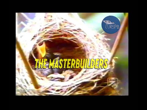 RSPB: the masterbuilders "nidi degli uccelli, Inghilterra (UK), Spagna, Italia..."