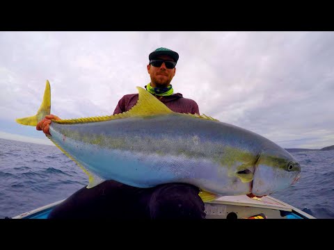 BIG FISH in a tiny boat Ep30