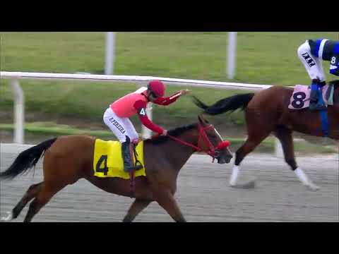 220403 c04 ORIGINAL CASH (BRZ)