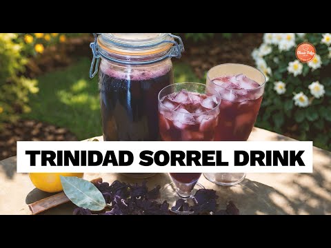 Trinidad Sorrel Drink Recipe | Easy Trinidad Christmas Holiday Drink #sorrel