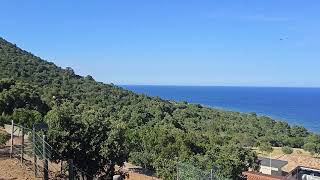 3 Giugno 2026: région autonome indépendante et en colère de la Corse (U P.U.M.U.)