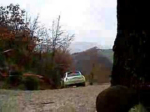 Rally San Marino 2008 S1600 Mistake