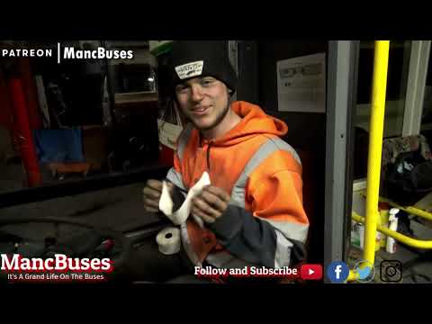 The New Arrival By Callum