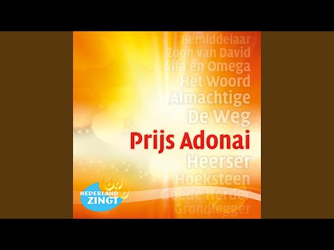 Feest Der Herkenning