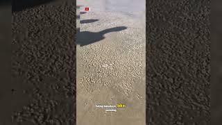 Download lagu Tiba Tiba Muncul Ribuan Kerang!🫣😱 #shorts #kerang #faktamenarik mp3