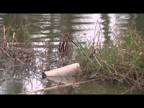 Cidade de Donggang, condado de Pingtung (20120930)