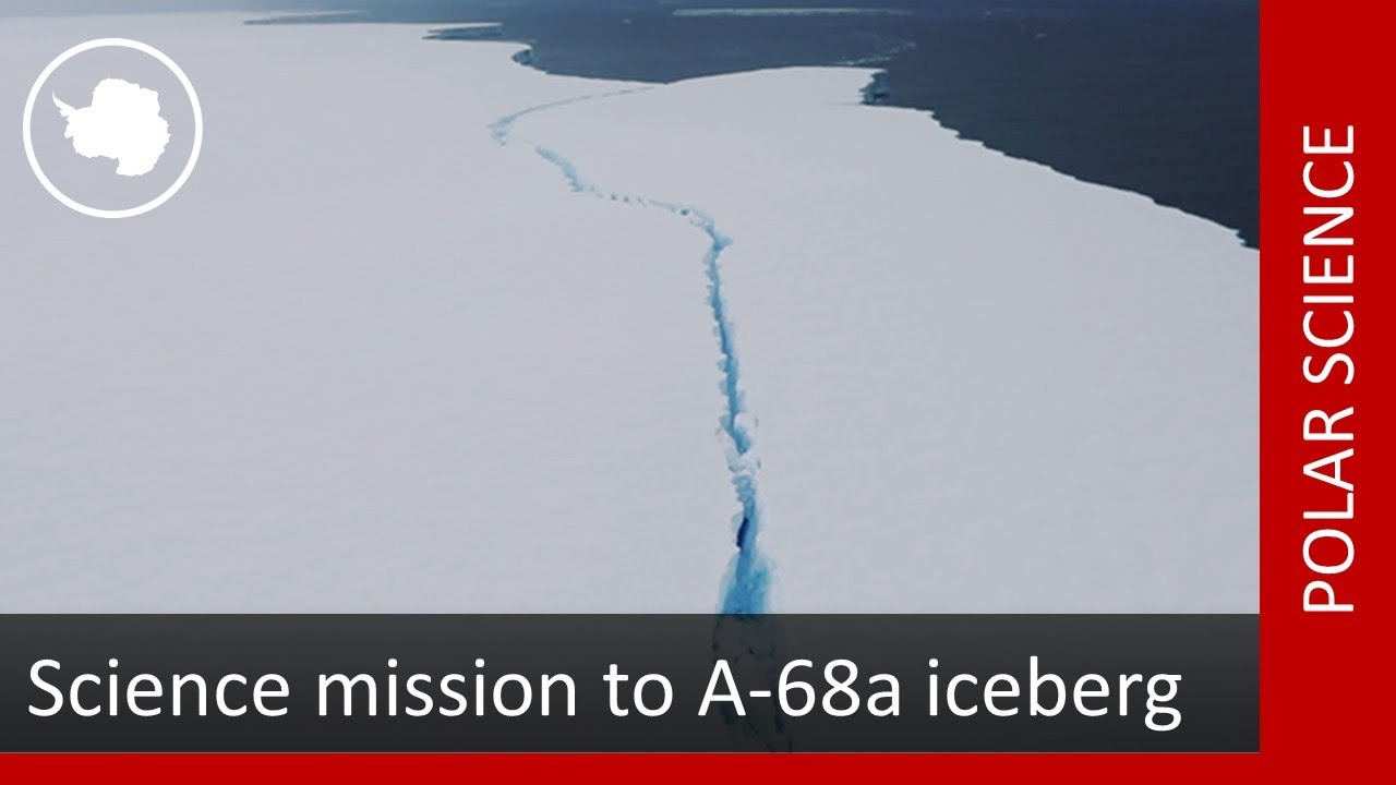 youtube video id=TOgcNLtXOf8