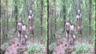 preview picture of video '2013 - Parc de Préhistoire - Malansac - 56220 - HD 3D - 1080p'