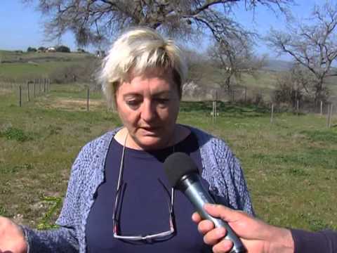 Zonattiva - Visita all'Allevamento Montabu