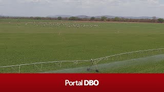 Miniatura do vídeo