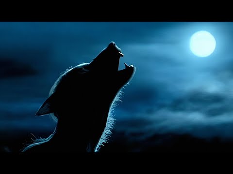 El Lobizon de Berazategui 