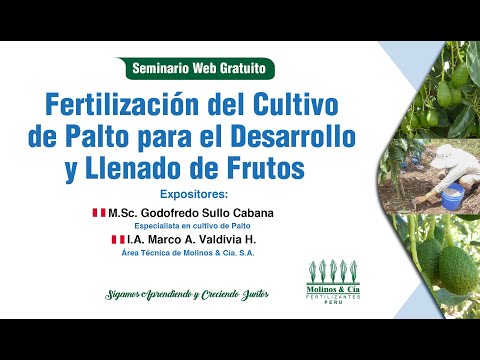 "Seminario Web Gratuito Fertilización del Cultivo de Palto ...